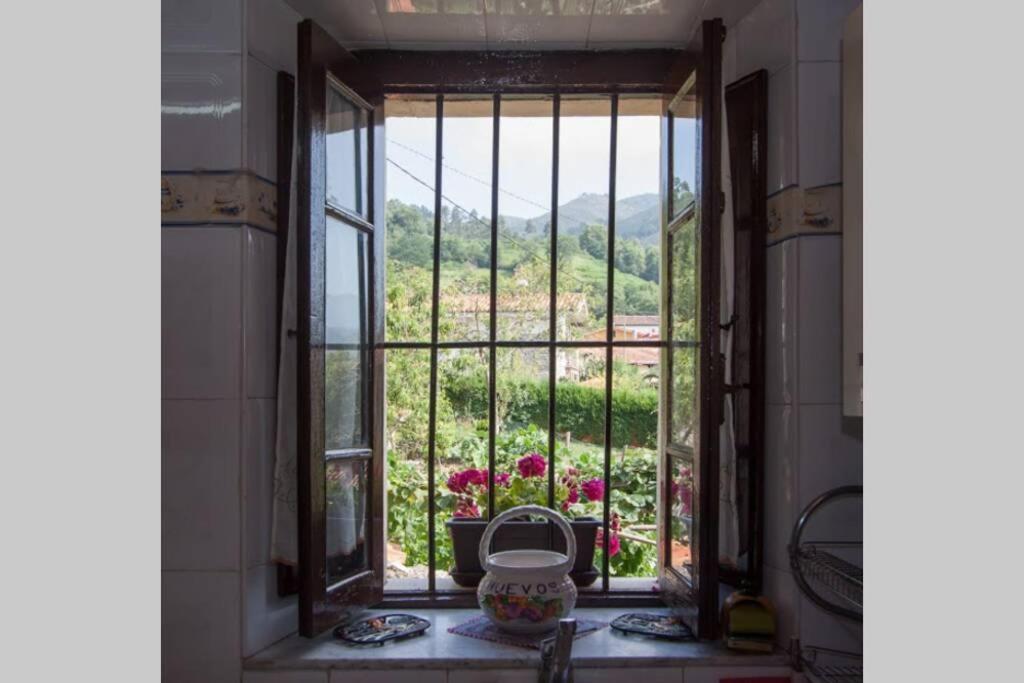 Casa Del Cuetu. Traditional In Asturias Holiday home *